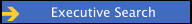 Executive Search